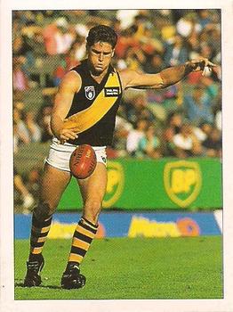 1992 Select AFL Stickers #191 Anthony Banik Front